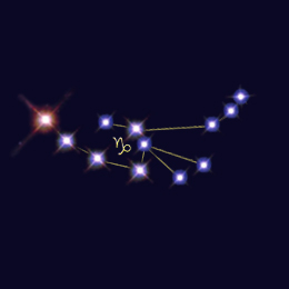 General horoscope zodiac, Capricorn capricorn